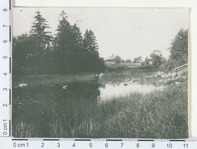 Valgu jõgi Velise alevi ligidal