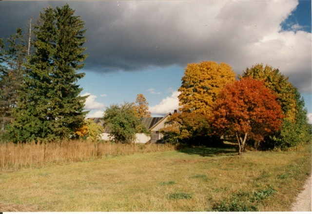 värvifoto Kareda küla vaade