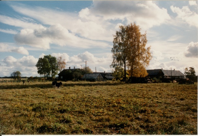 värvifoto Kareda küla vaade