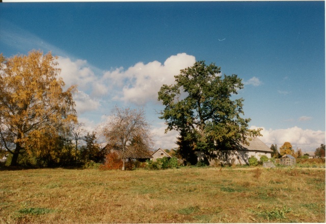 värvifoto Kareda küla vaade