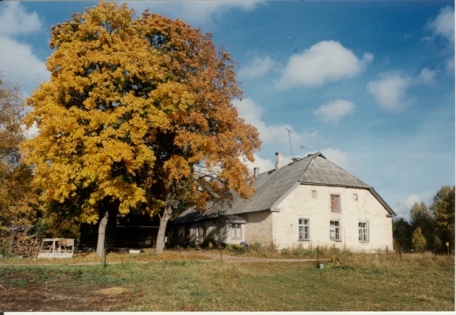 värvifoto Kareda küla vaade