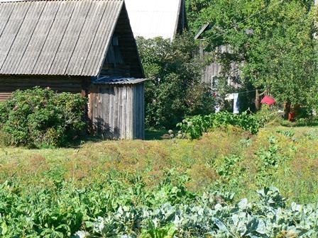 Peenramaa Kundruse külas