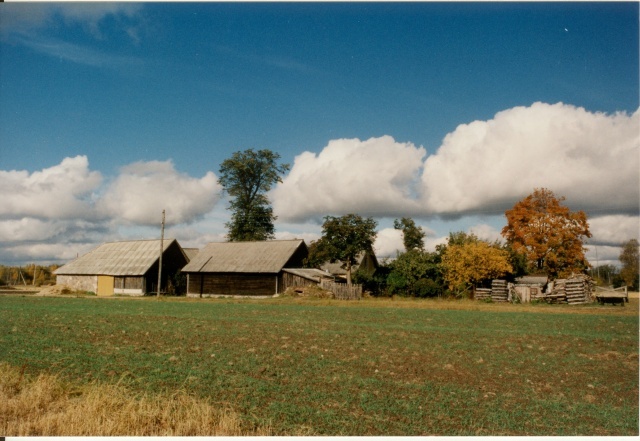 värvifoto Kareda küla vaade