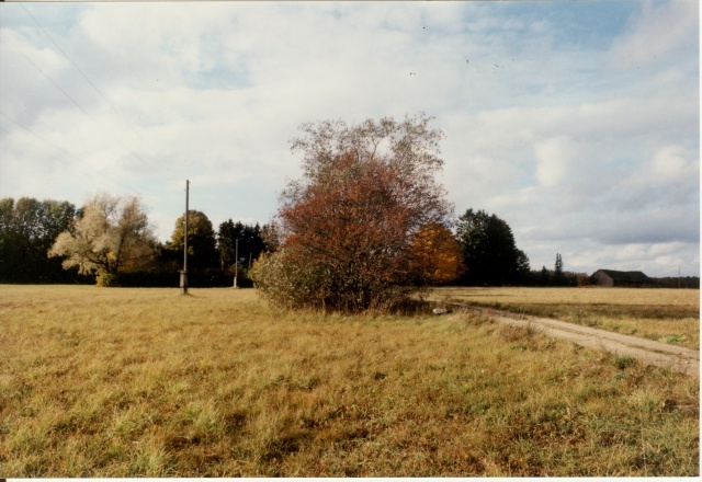 värvifoto Kareda küla vaade