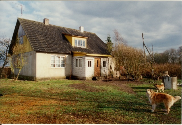 värvifoto Kareda küla vaade, Lepiku talu elumaja 1997