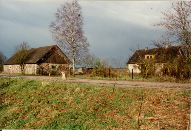 värvifoto Kareda küla vaade, Lepiku talu hooned 1997