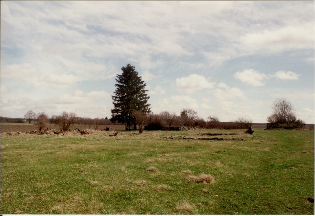 värvifoto Kareda küla vaade, Mardi-Jüri talu ase 1997