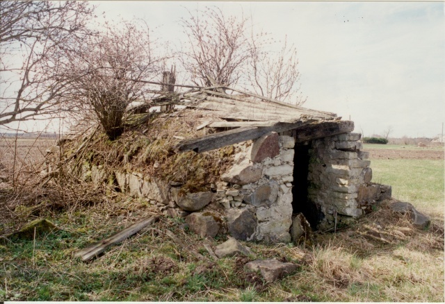 värvifoto Kareda küla vaade, Mardi-Jüri talu kelder 1997