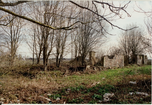 värvifoto Kareda küla vaade, Kääri talu elumaja varemed 1997
