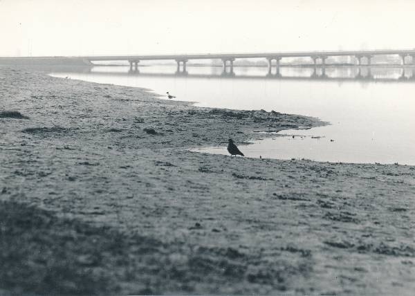 Sõpruse sild Tartus, vaade Anne kanali poolt 1990ndatel.