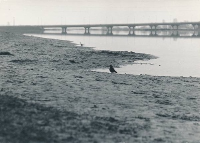 Sõpruse sild Tartus, vaade Anne kanali poolt 1990ndatel.  duplicate photo