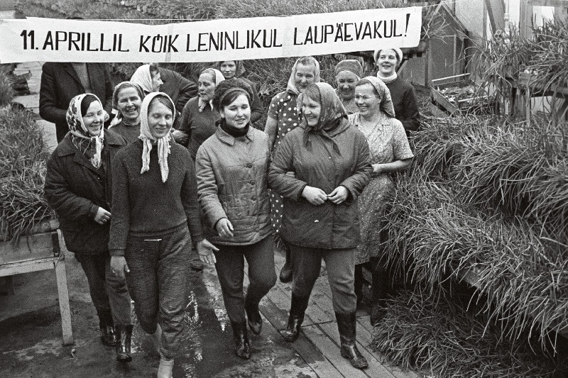 Harju rajooni köögiviljakasvatuse näidissovhoosi töölised leninlikul laupäevakul.