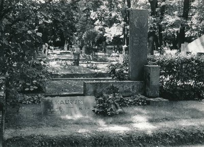 Tartu linnavaade. Karl ja Emma Kalkuni haud Raadi kalmistul. 18.08.1984.a.  duplicate photo