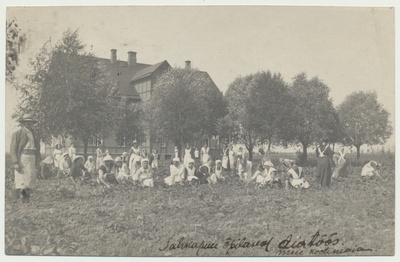 foto, Tartumaa, Sahkapuu põllutöö ja majapidamiskool, koolimaja, neiud aiatööl, u 1915  duplicate photo