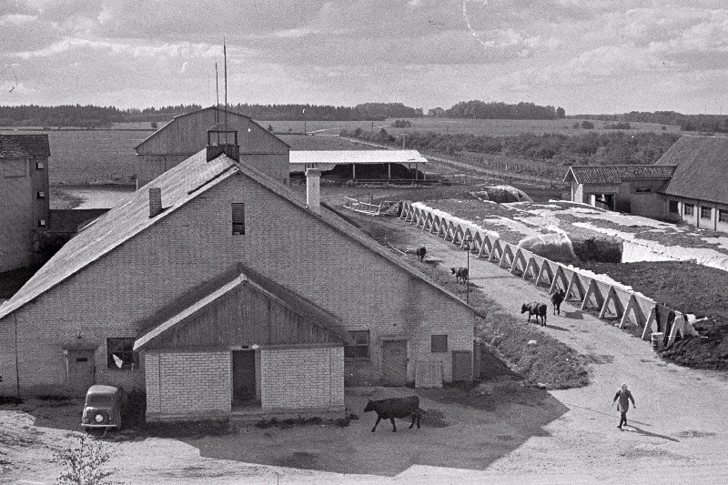 J.Gagarini nimelise näidissovhoostehnikumi uued farmihooned.