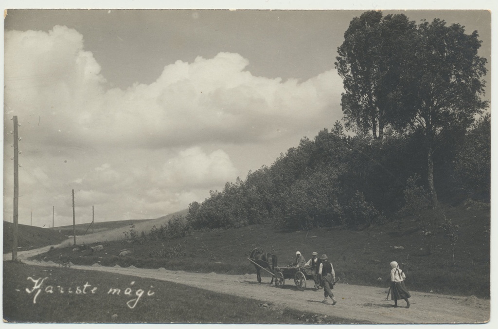 foto, Viljandimaa, Kariste org, tee, hobuvanker, u 1925