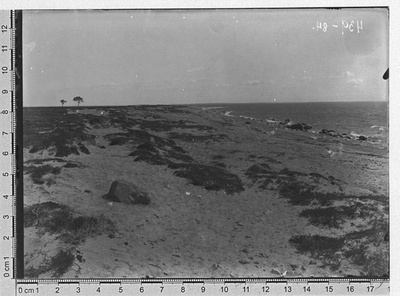 Aksi saare luitestik lõunarannal, edelast, 1922  duplicate photo