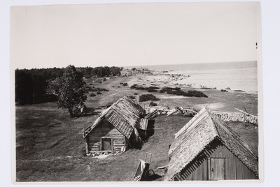 Vaade Aksi saare kirderannale tornist 1922. Jõelähtme khk  duplicate photo