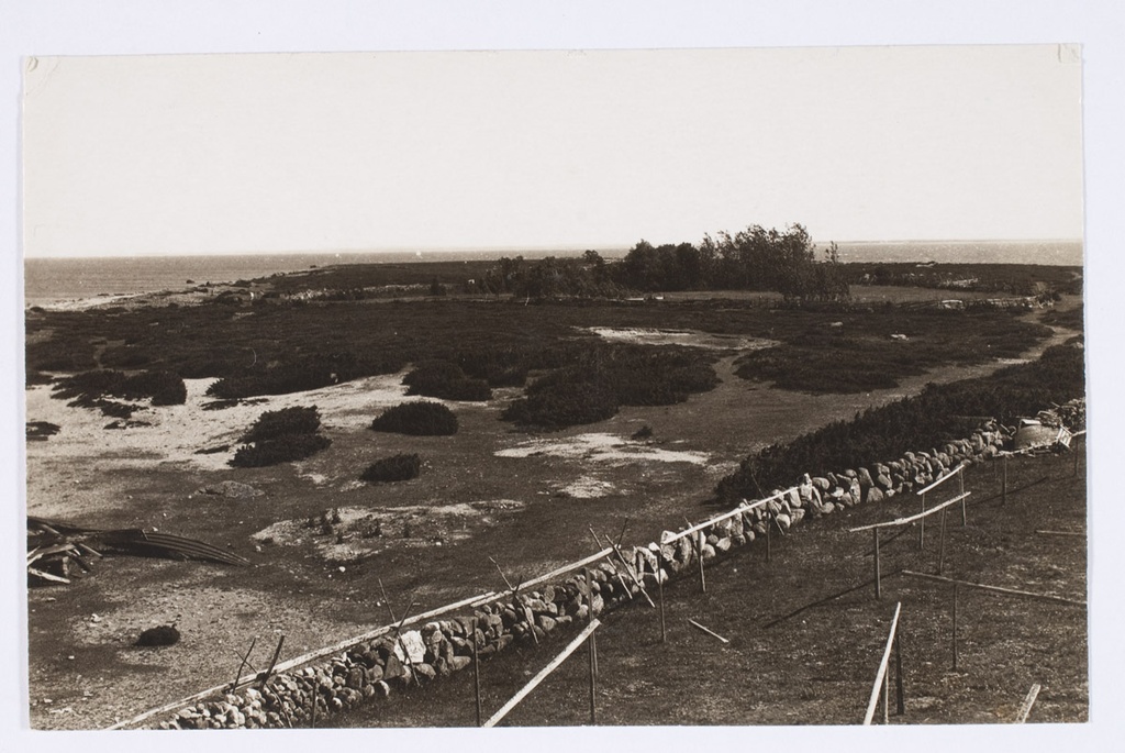 Aksi saar, madal kadastik.