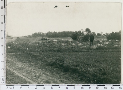 Muinasaegne matusekoht Alatskivi mõisa maa peal, 1912  duplicate photo