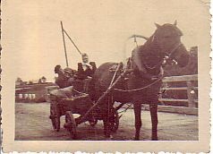 Alatskivi MTJ töötajad hobusega tööle sõitmas