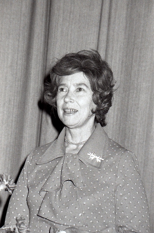 Kirjanik Lilli Promet.