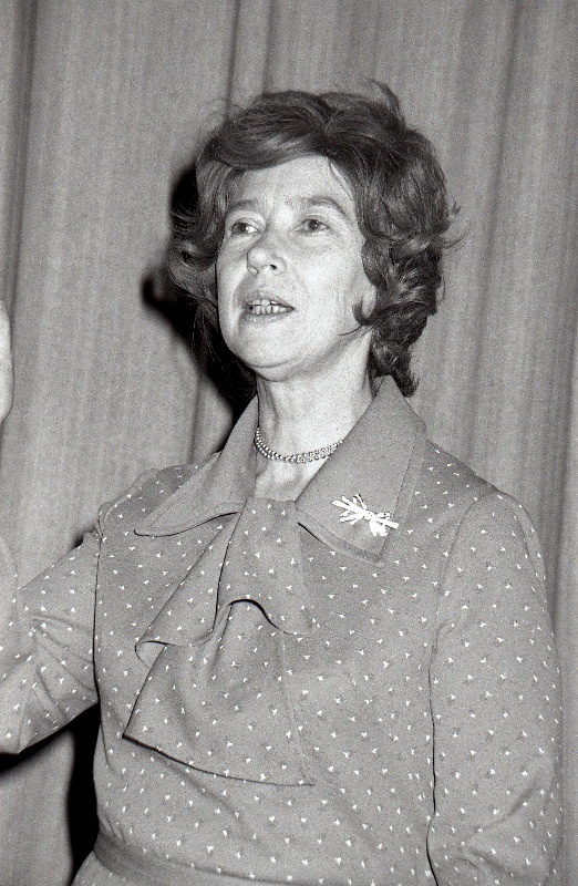 Kirjanik Lilli Promet.