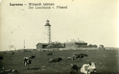 Vilsandi tuletorn ja tuletornilinnak  duplicate photo