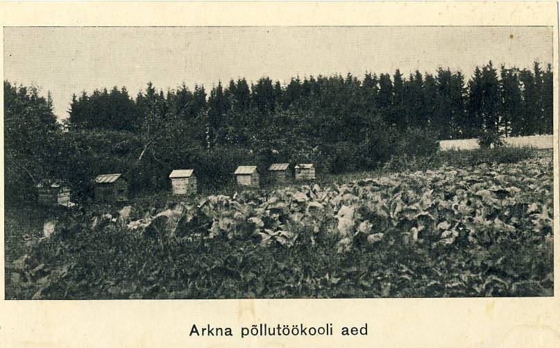 Arkna põllutöökooli aed