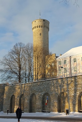 Tallinn Pikk Hermann rephoto
