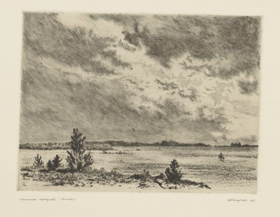 Assamalla lahinguväli  duplicate photo