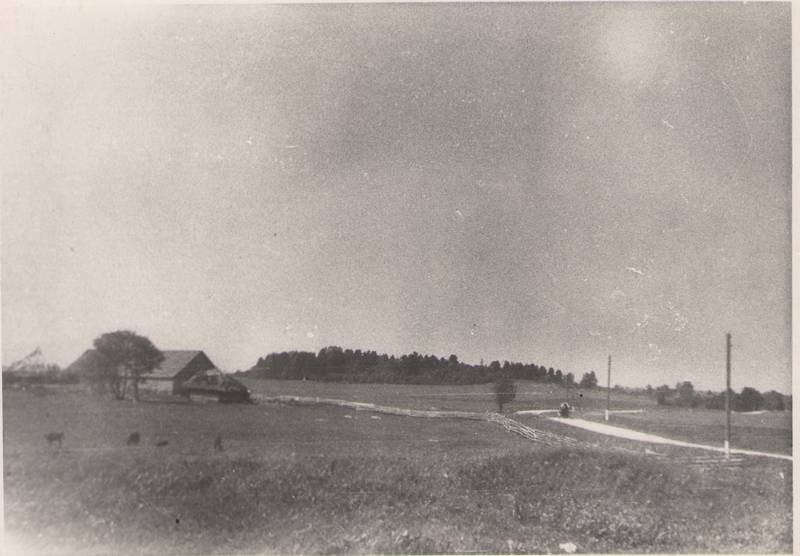 Foto. Vaade Sadulamäele Assamalla külast, 1951.