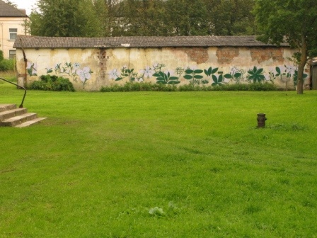 Aseri alevik, Nooruse tänava ümbrus