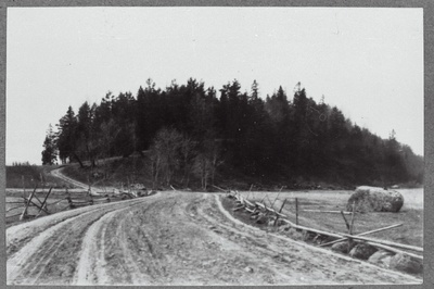 Sinimäed.  duplicate photo