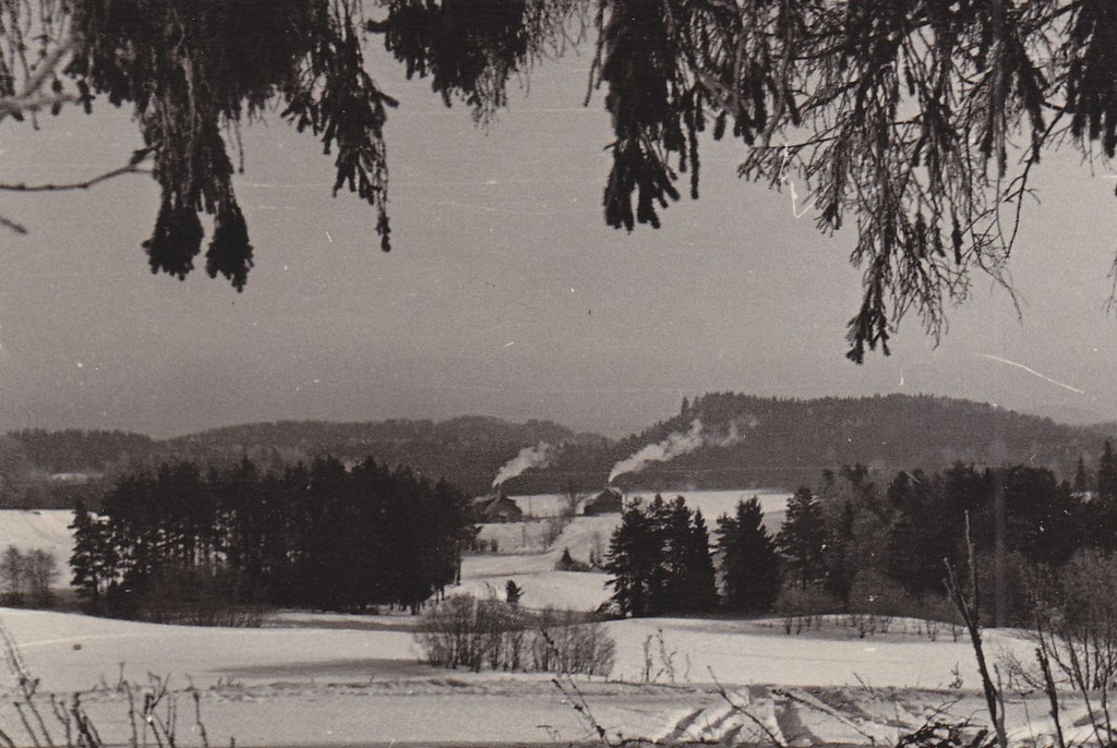 Talvine Kääriku
