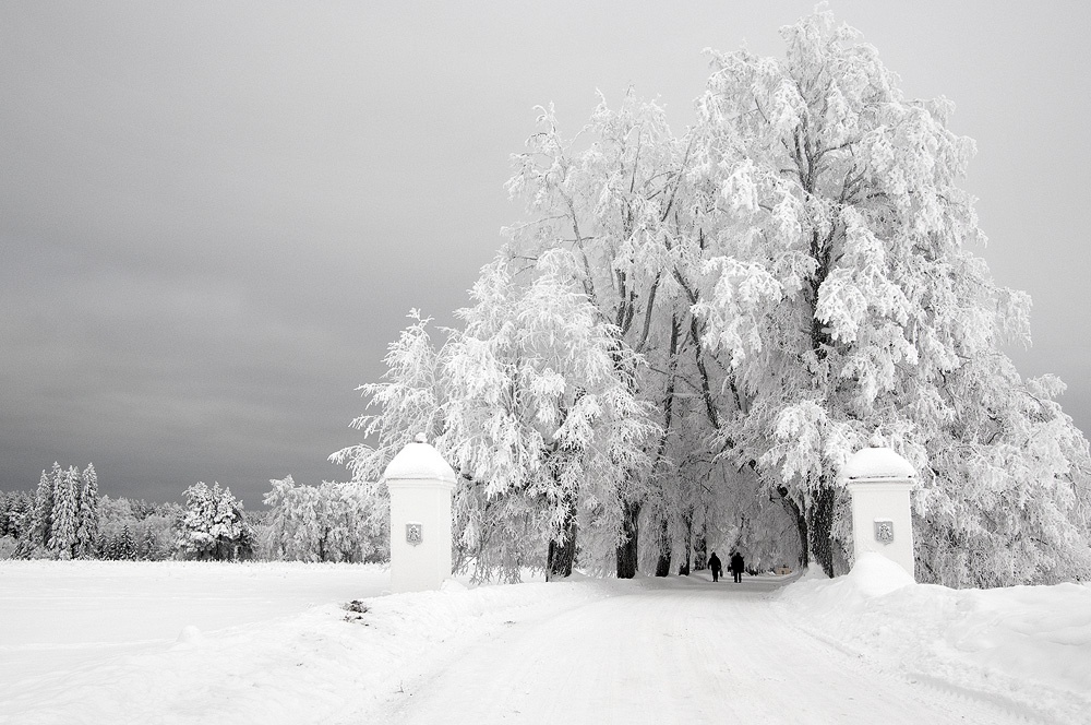 Entrance gates in winter - Vihula Manor Country Club & Spa - Vihula Manor Country Club &amp; Spa is a hidden treasure on the Northern coast of Estonia, set amidst the wildlife-rich Lahemaa National Park and near the Baltic Sea.