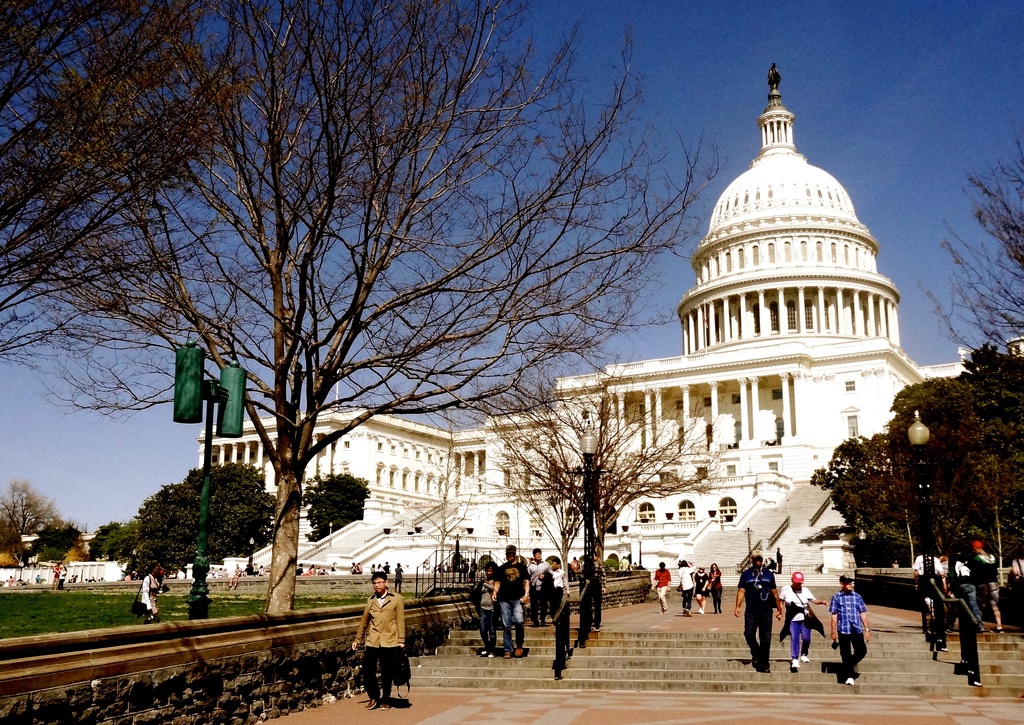 The Capitol in the Winter