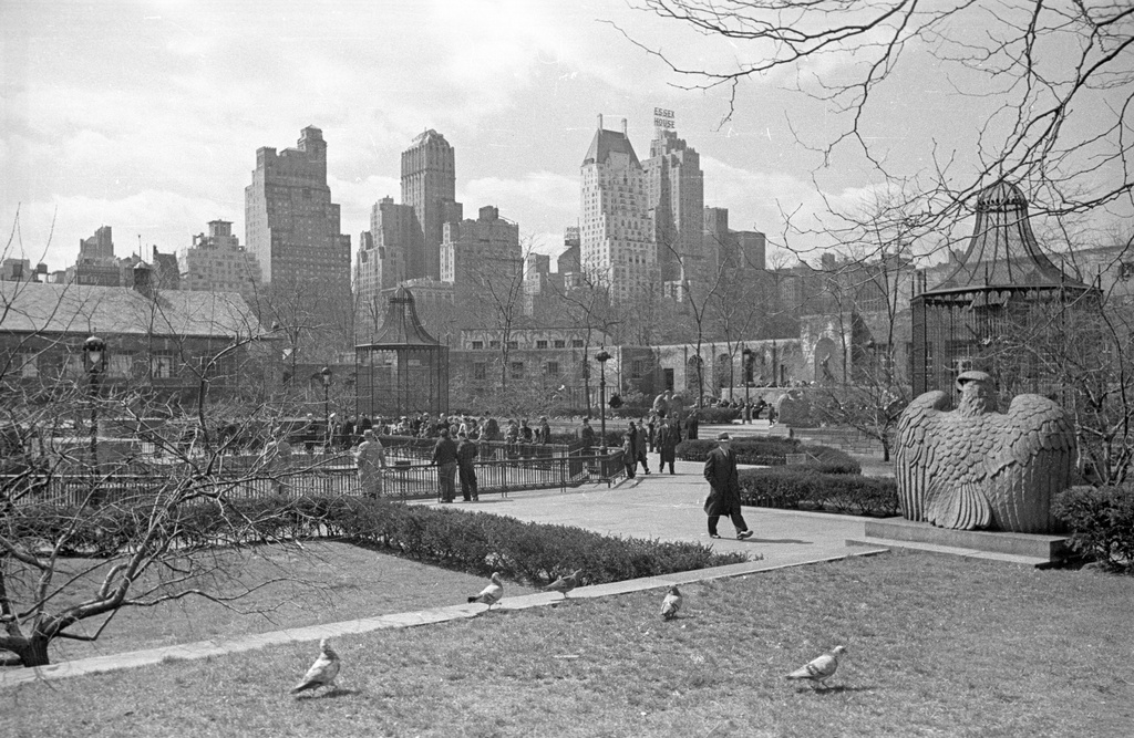 Manhattan fra Central Park - DEX FB 0061 - lang