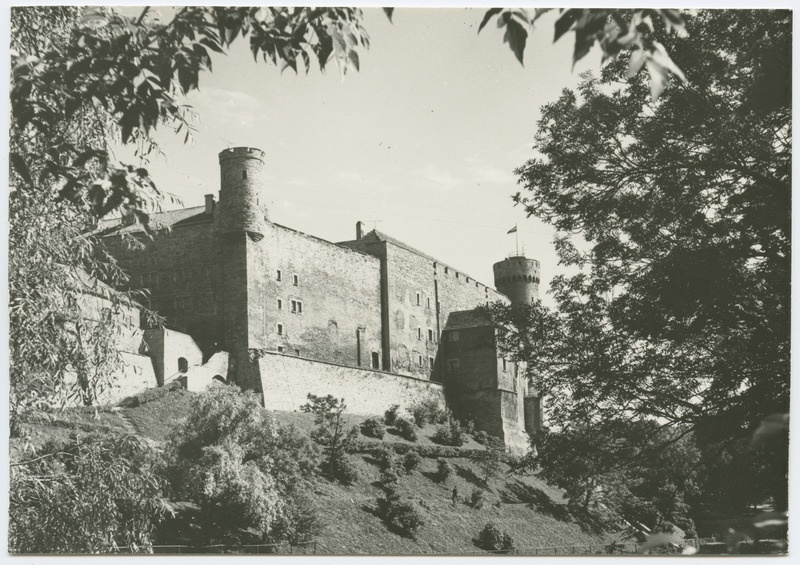 Toompea loss