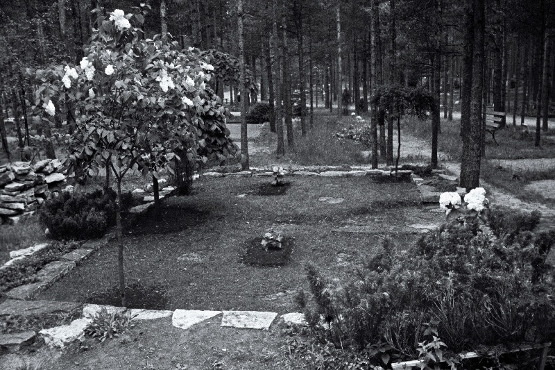 Vaade Metsakalmistule.