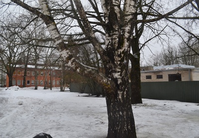 Kolhoos Valtu. rephoto