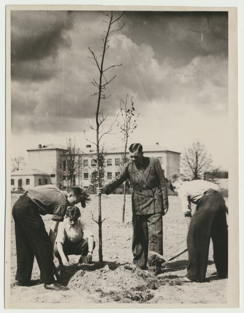 foto Suure-Jaani, puude istutamine, 1950