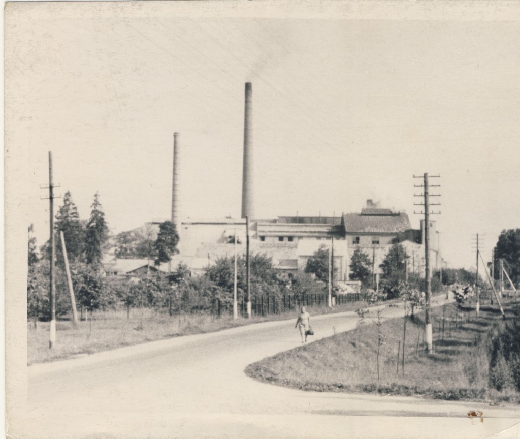 Foto. Järvakandi peatänav. Vaade Järvakandi klaasitehasele lõunast.