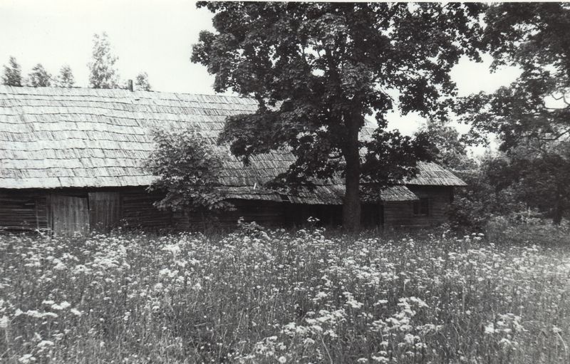 Rehielamu, Viro talu