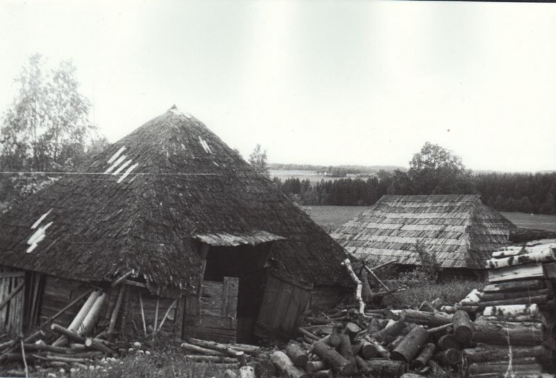 Puukuur, Hansi talu