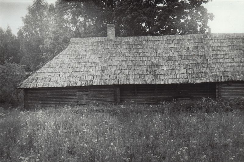 Rehielamu, Viro talu