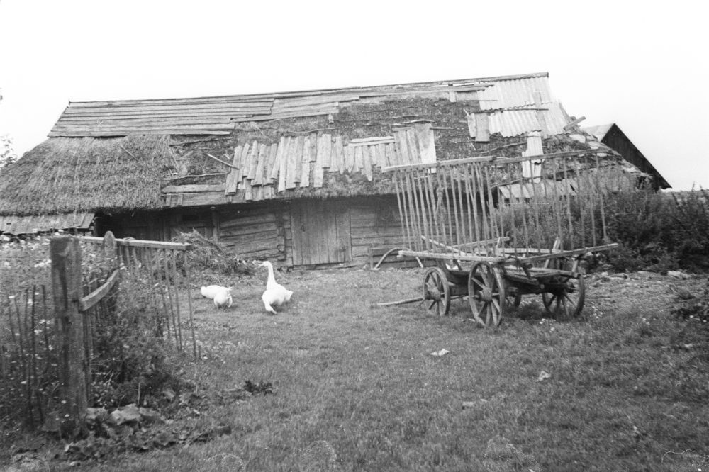 Karala küla Toomuse talu õu
