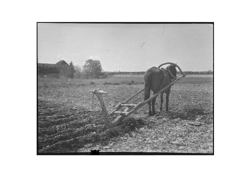 SLS 446_16 Årder, med vilket man plöjer och ...