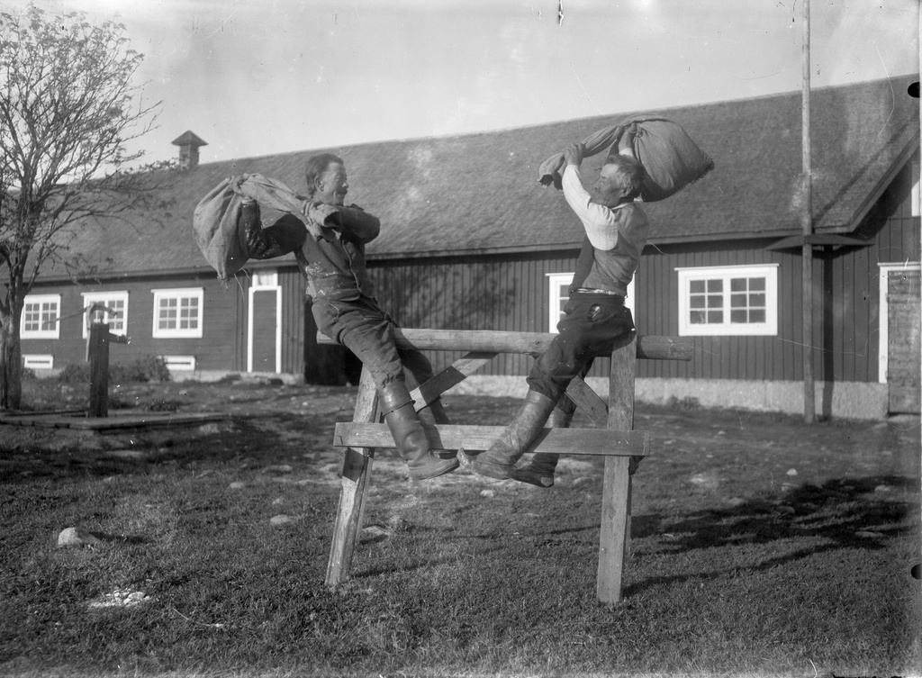 SLS 403_11 Slåss med påsen el. byta sittoppar‎ (1931)