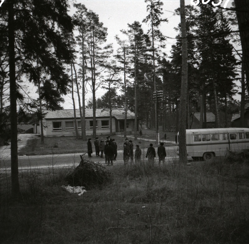 Vaade Laulasmaa sidejaoskonnale.